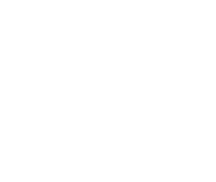Logo 11
