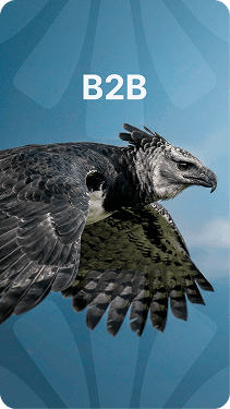 B2B-(Mobile) 1